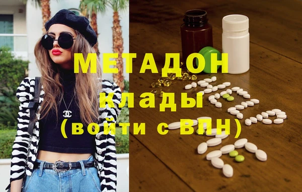 сатива Няндома