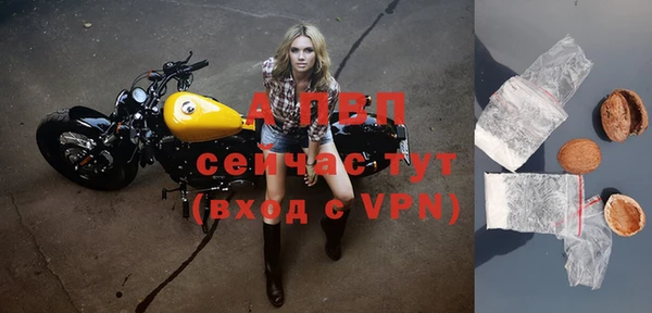 ГАЛЛЮЦИНОГЕННЫЕ ГРИБЫ Заволжск