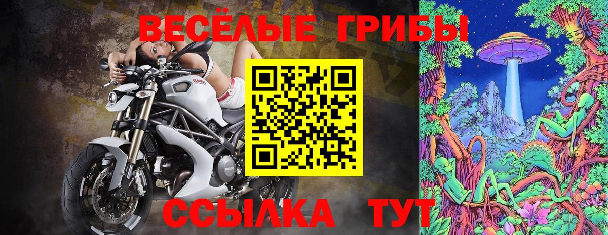 Псилоцибиновые грибы Cubensis  Вход с VPN  Галлюциногенные грибы Psilocybe  Радужный 