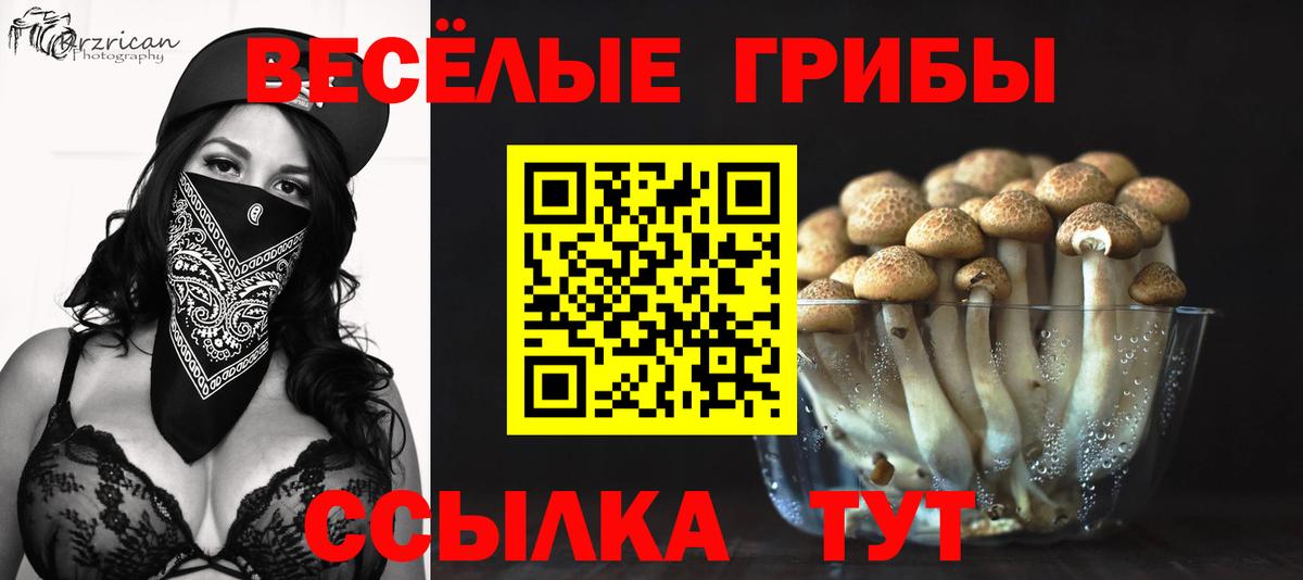Псилоцибиновые грибы прущие грибы Радужный